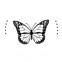 The Butterfly's Journey